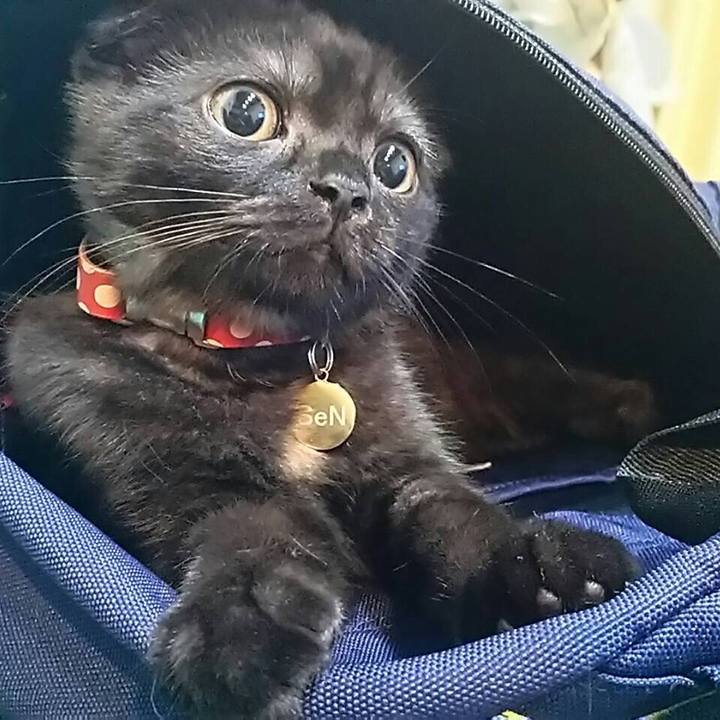 Dd59d148 00b3 457e 8765 04fe373dc4c3