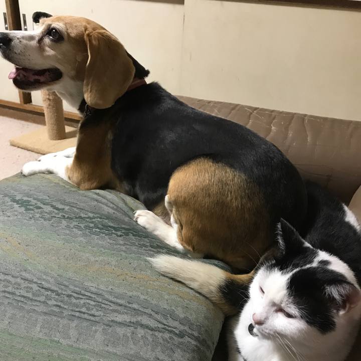 Dd59d7ed 41dd 47c8 a189 6fb90b612051