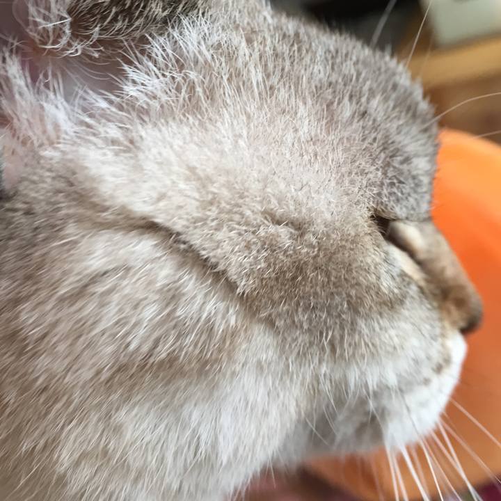 Dd5a3a40 785a 4c0a 8d31 a6be94d24968