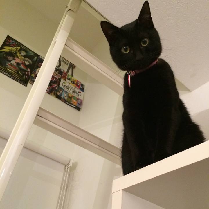 Dd5a421d 24e7 45fb 8a6b 3c580b961192