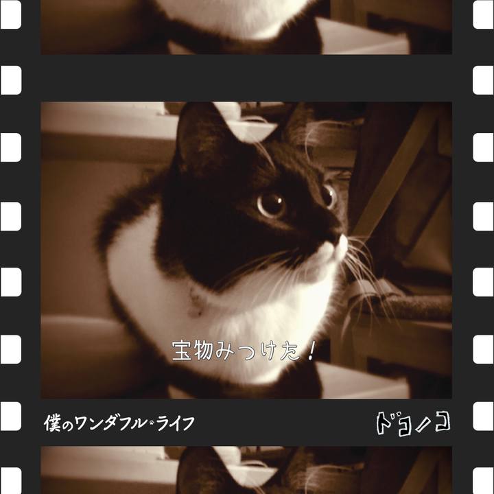 Dd5aa99d 0f74 4091 99f2 9f22aa1edd64