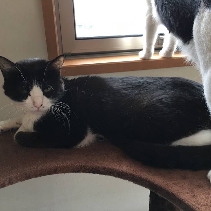 Dd5aaaf7 b09c 4b8a b9f9 89b6eb07e782