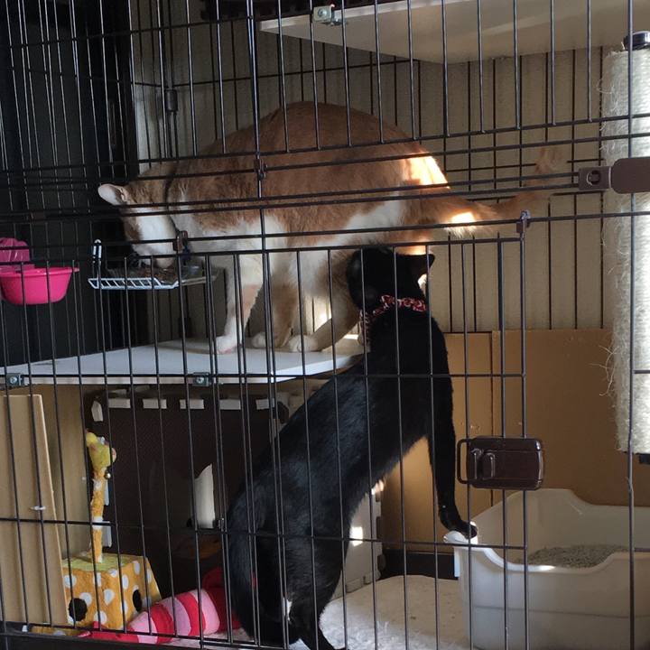 Dd5ac977 634b 4b3f b08f e1aba7bf5390