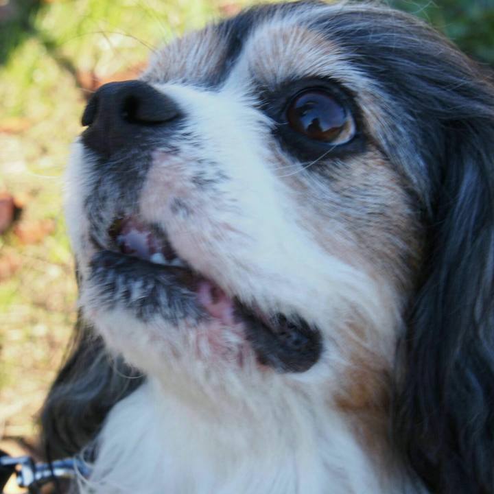 Dd5ae34c 73ec 4305 b1f7 4b0c3db53f01