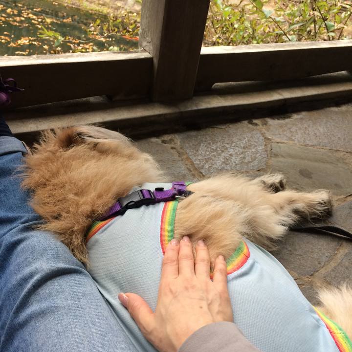 Dd5b02d9 48fe 49d3 8015 7b97dcad4bc5