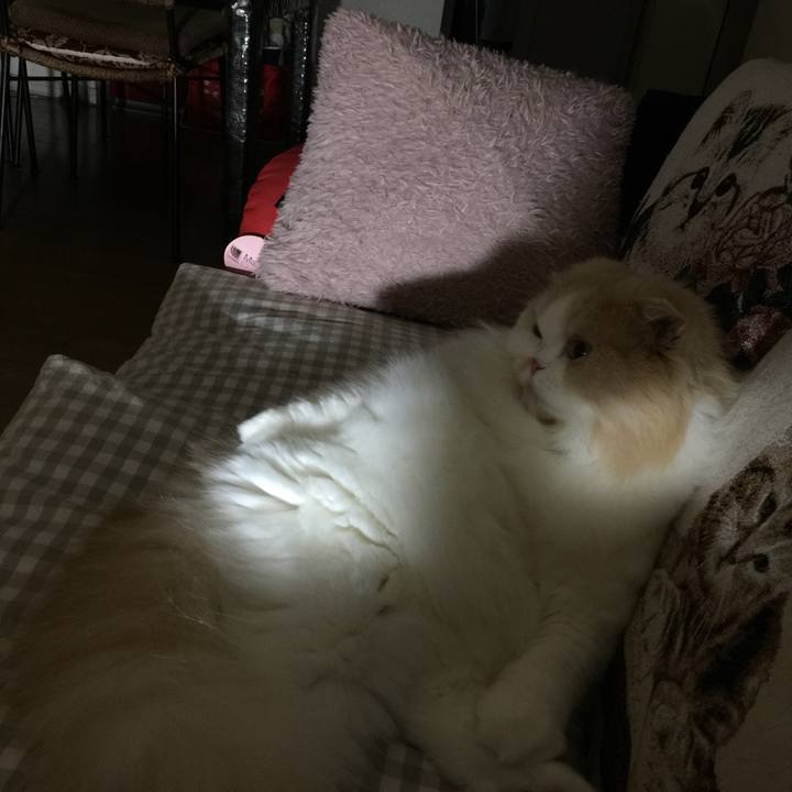 Dd5b187e 3f35 48e1 a6cf b11c970ba4aa