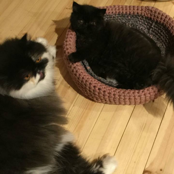 Dd5b421d d360 4210 b68a aed3e796345e