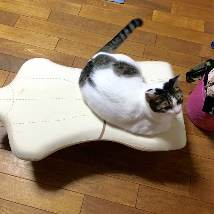 Dd5b5b35 6279 427d 8d06 753f9f31ed18