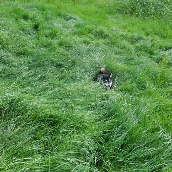 Dd5c230b 3952 406e 9d68 8c73ea67d5fa