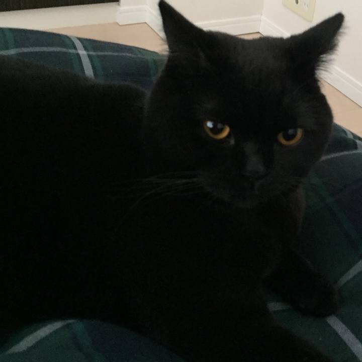 Dd5c879d e0c1 4f4b 8e86 6ff59fce49f4