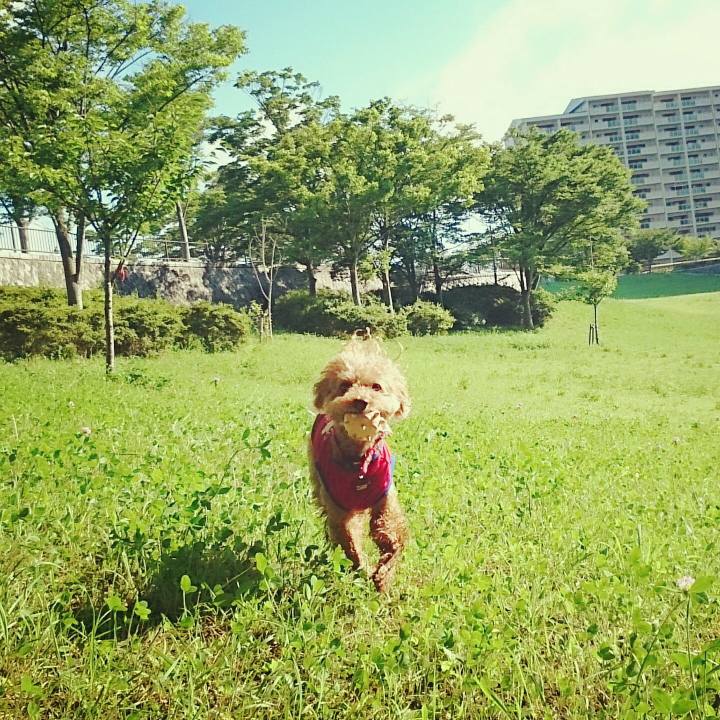 Dd5ccd03 e9ef 4d77 8116 a1274730f066