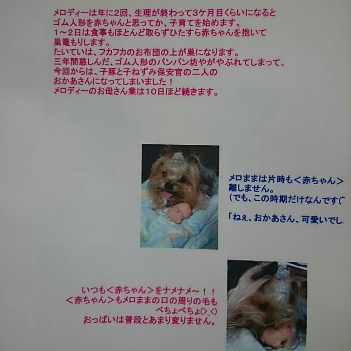 Dd5cf098 14f8 434a 88ae ee616d58f0a5