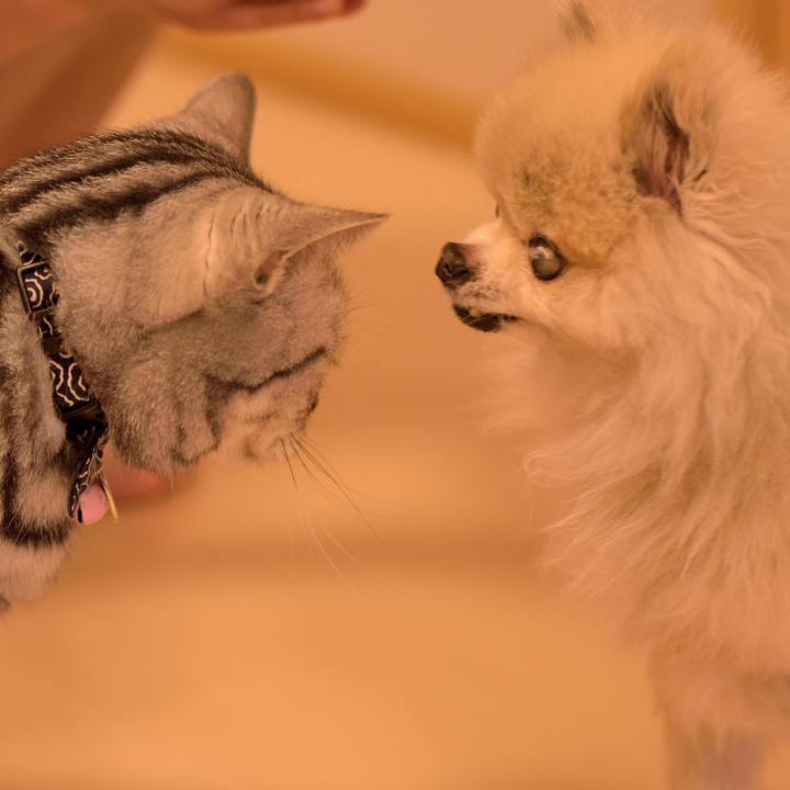 Dd5d0b79 ab63 42ee bc94 0b205de681d1