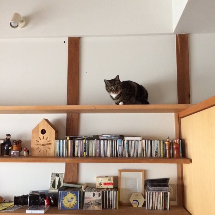 Dd5d1bdb 7004 4507 83cc 8c42cbc15971