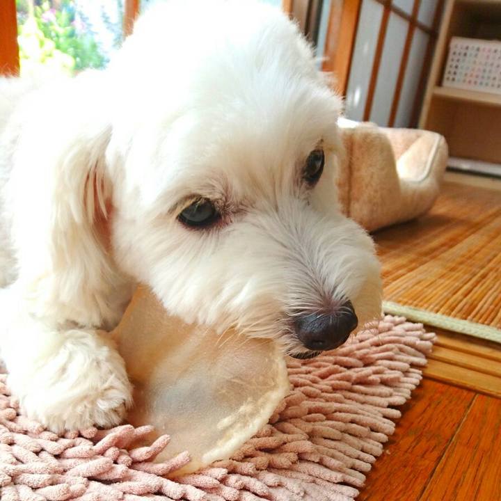 Dd5d95b9 6475 4473 add9 2d1b3b0b2443