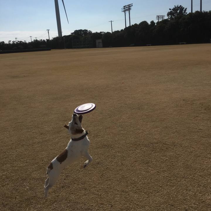 Dd5e57e8 b69b 42ef acf4 b2350cff5eb7