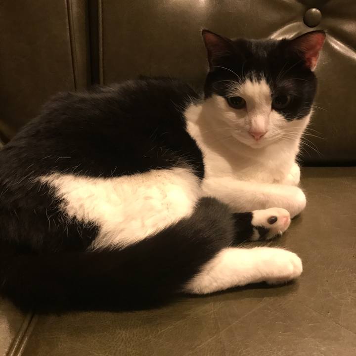 Dd619d01 93c1 4216 8c60 decc80e9150b