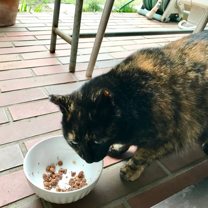 Dd61f40f 2f1f 4550 833c c3425dd76a39