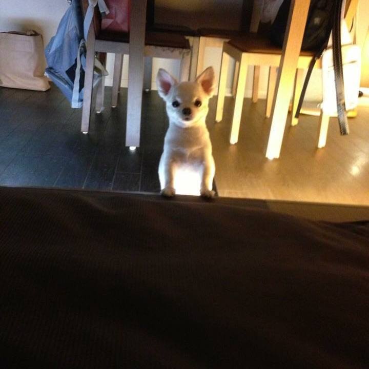 Dd6246b1 ba61 458f a5cf e3d9e42c2f34