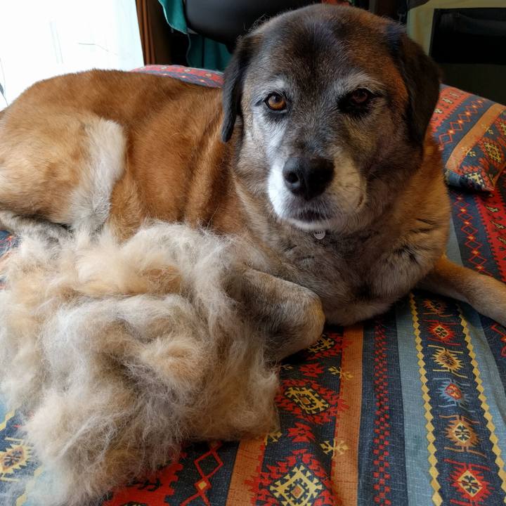 Dd625c68 7544 4063 8ca7 cf9381a4148d