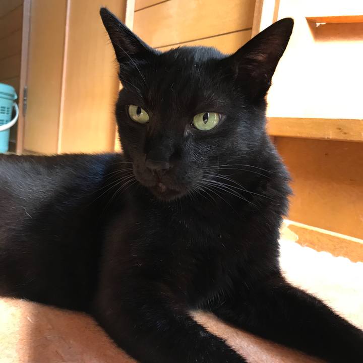 Dd6285d6 92d8 4652 b655 8e115cb75bdf