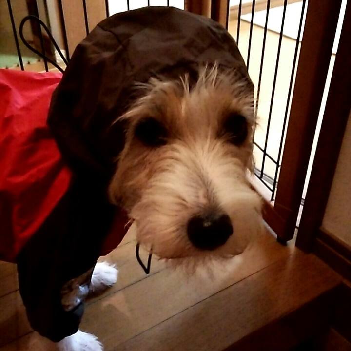 Dd63a23c b9c8 4ebd 8755 fa5d1dd87271