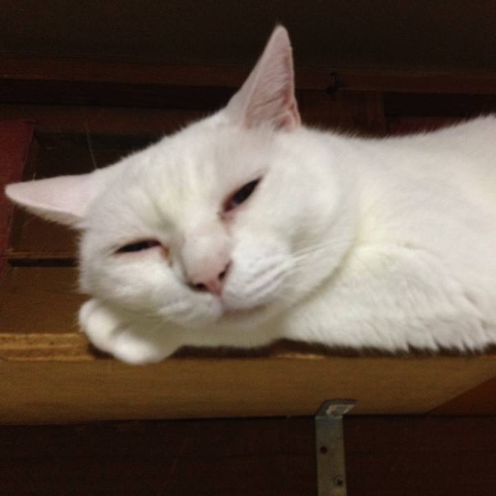 Dd641f6a 9abb 47e0 8c28 87f800ef6d9a