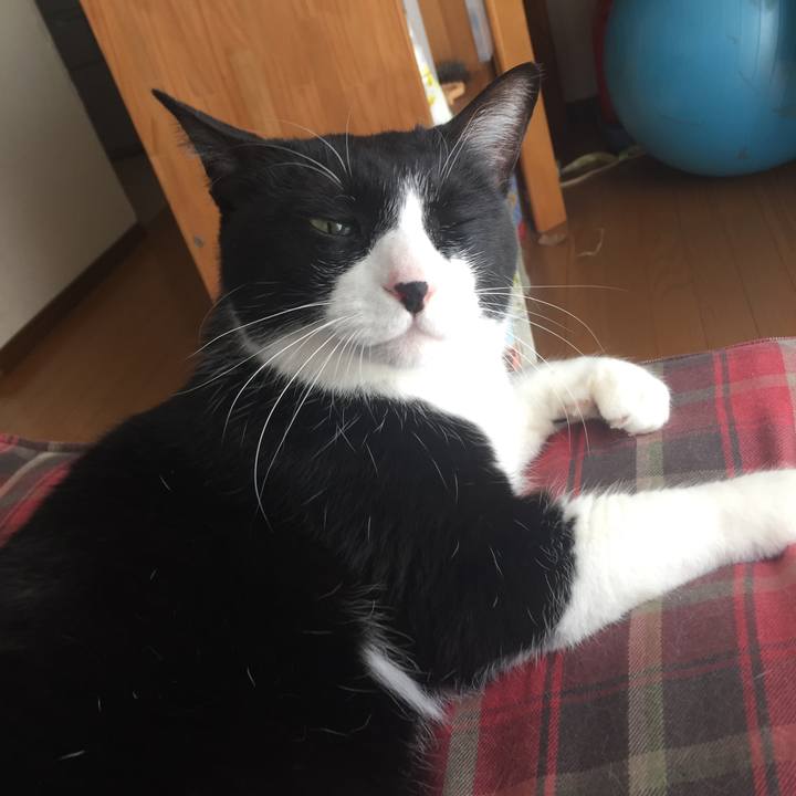 Dd6434d4 e648 43b1 a0a7 942add225791