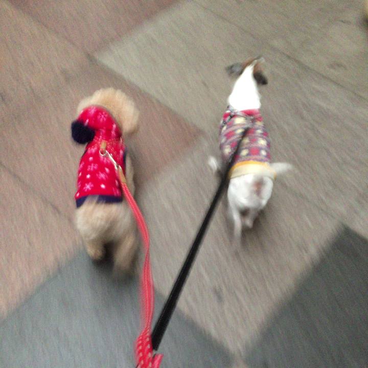 Dd643c2e d5b7 4ee1 b682 c6f83afe8cf3