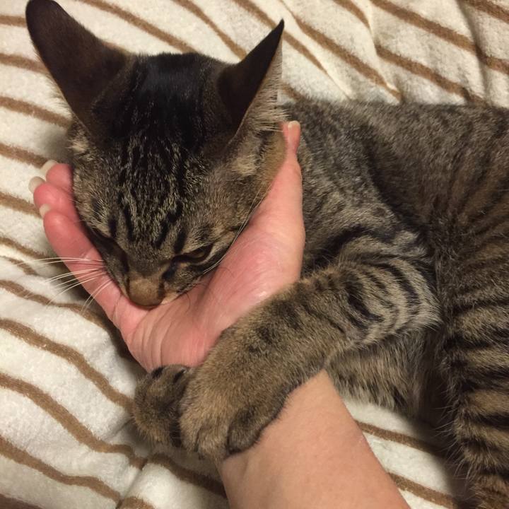 Dd646451 d829 485f 88b7 41cc836fcc0a