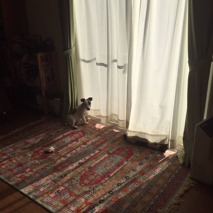 Dd6465ea 94dc 417c 8522 258b5bab2149