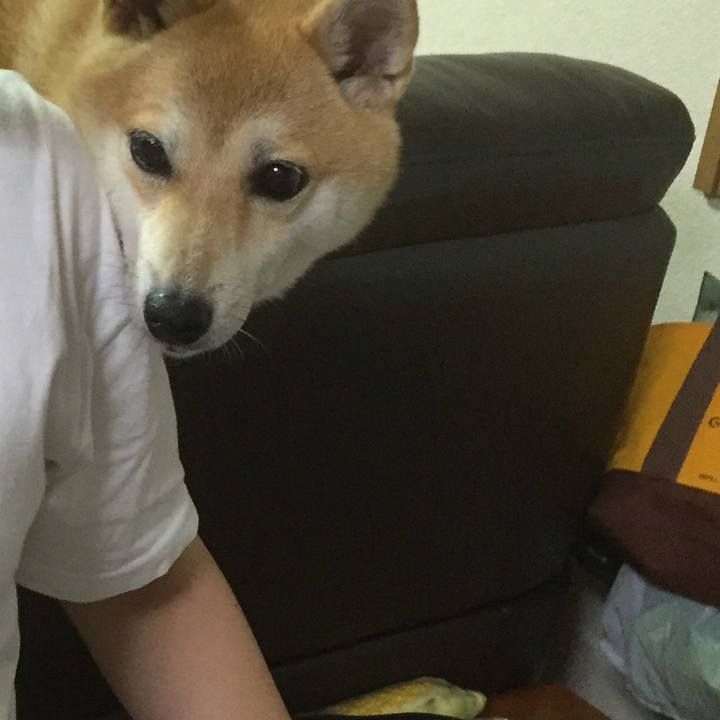 Dd648a55 6460 44e5 ae0d 6e85f39c8b7f