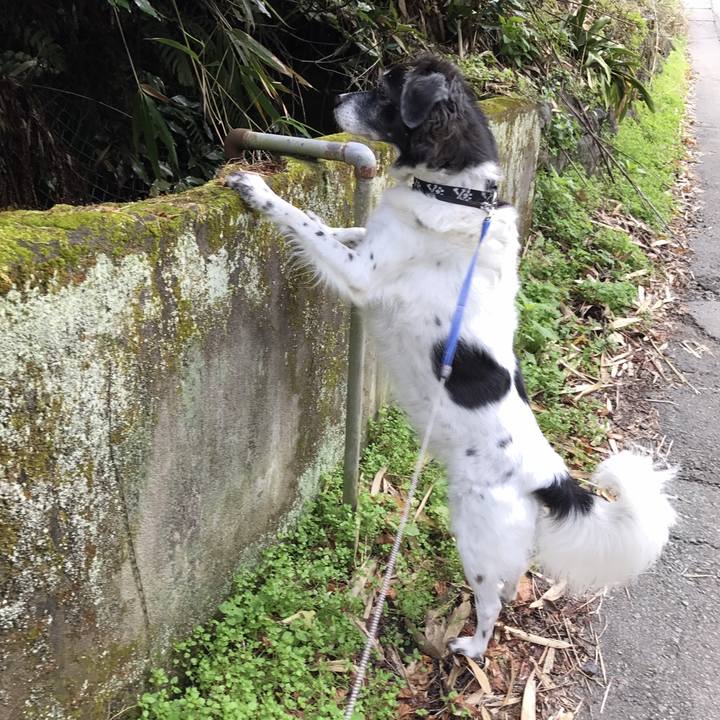 Dd6507e4 a92f 4ee8 8e56 3794573ec0ec