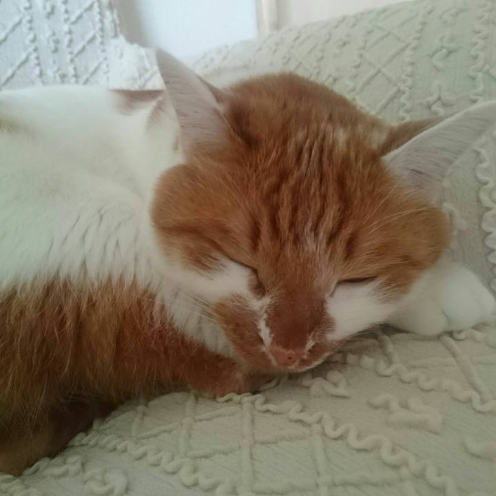 Dd6554ce 0e87 4f44 ad36 76db6b20572f