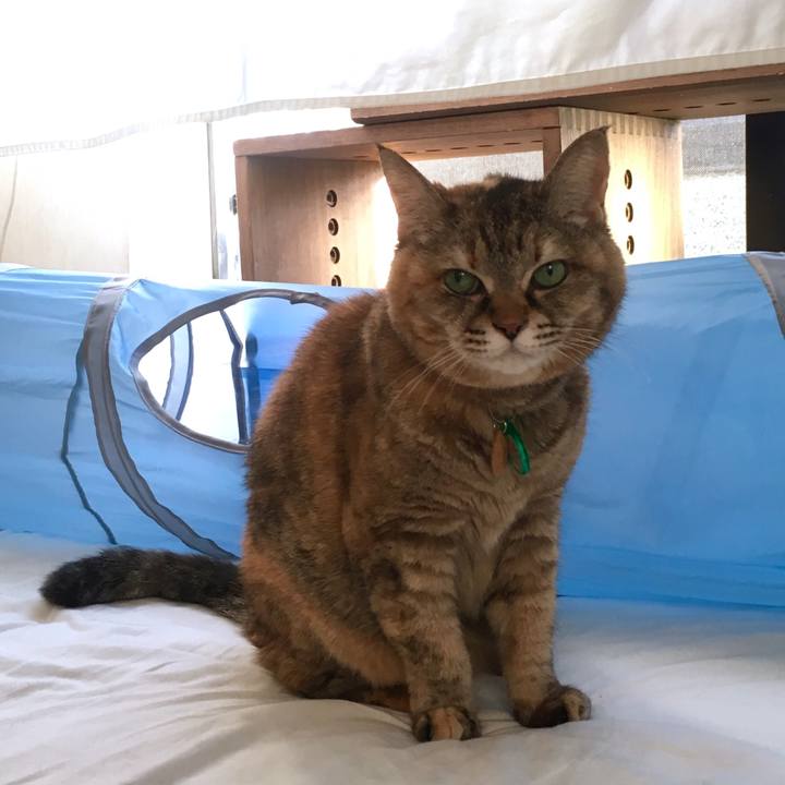 Dd65dc80 bfbb 4288 98f7 8ff7cd85d713