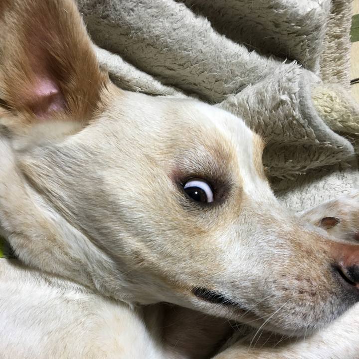 Dd66152c be4a 4834 a5dc 5aeba42c5b8e