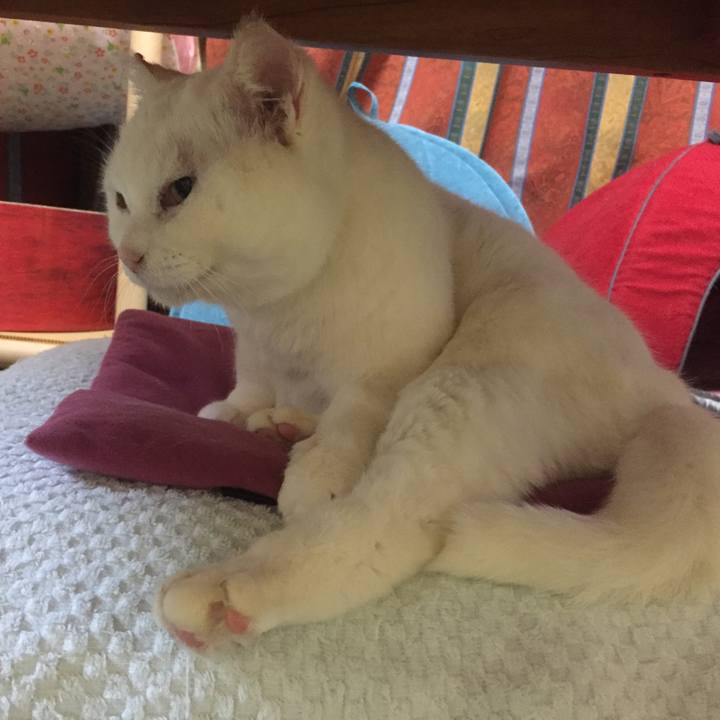 Dd6621fc c701 4491 acd1 99638aa68b9b