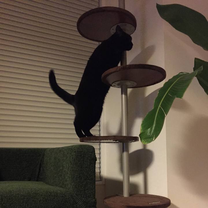 Dd666971 7a9a 41f3 9ba0 2066ed0c4a47