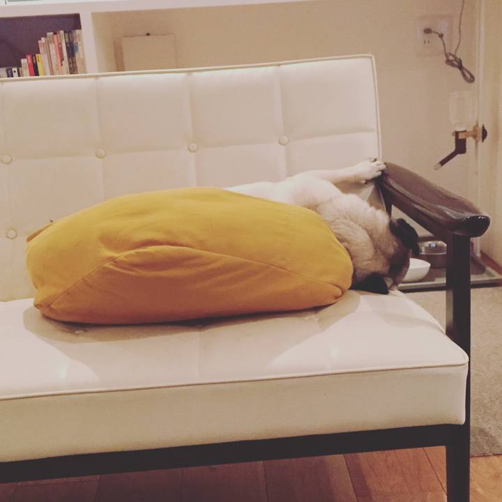 Dd66903e b462 449d b5cc d0cede828eab