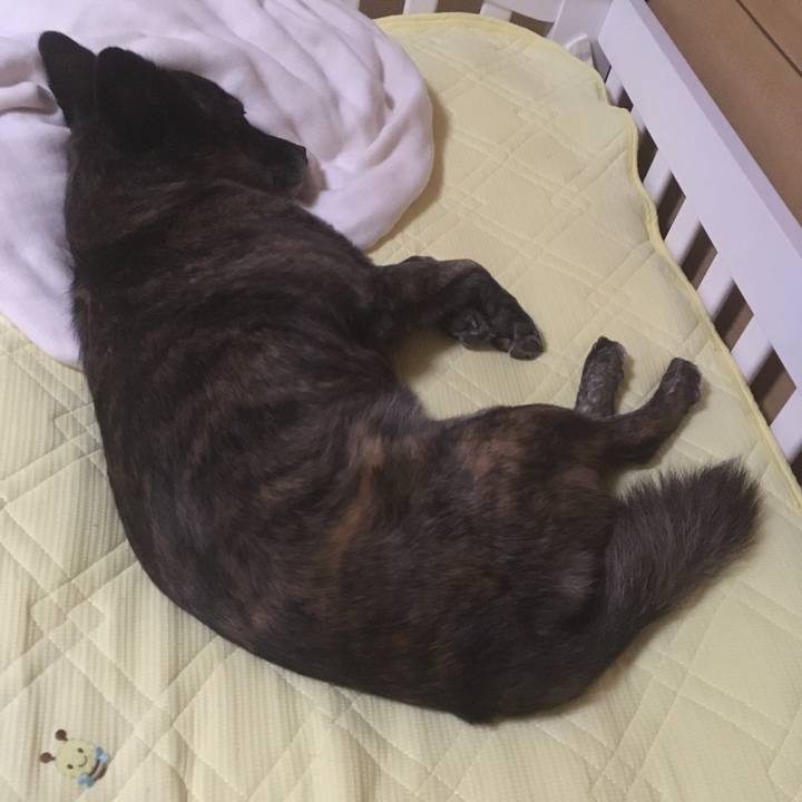 Dd66ad70 1c28 44be b628 bb2c08a84489