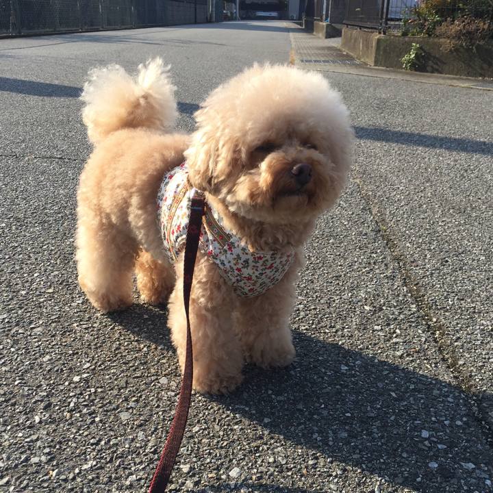 Dd6701c9 20e0 4709 b1bc a37c265159f0