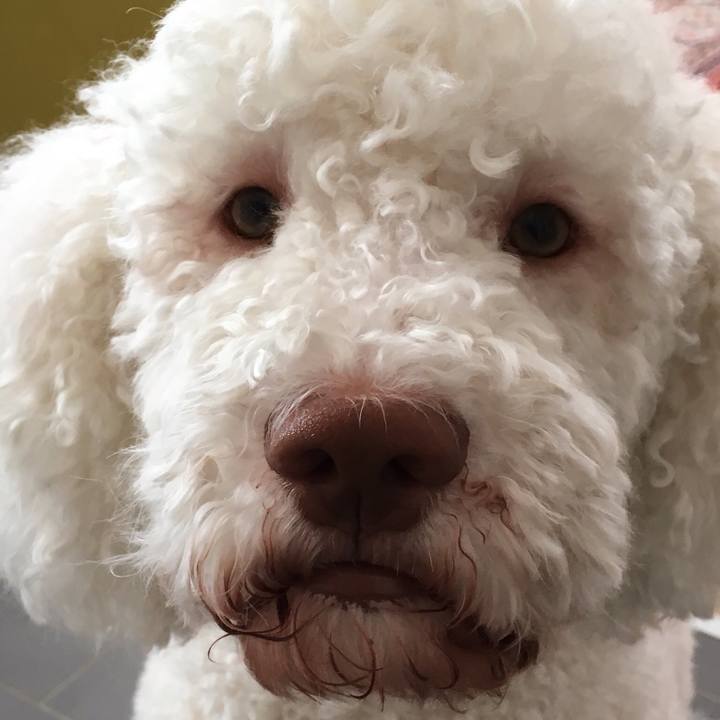 Dd678122 835e 4efd 91d1 4f69af06a2fc