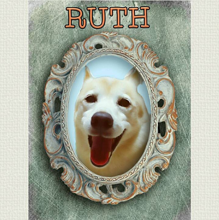 Dd67d44e f103 4317 a353 8225cb6e4250