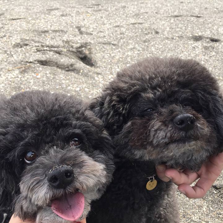 Dd68e47e 49aa 47a0 b66a 69713dcc947f