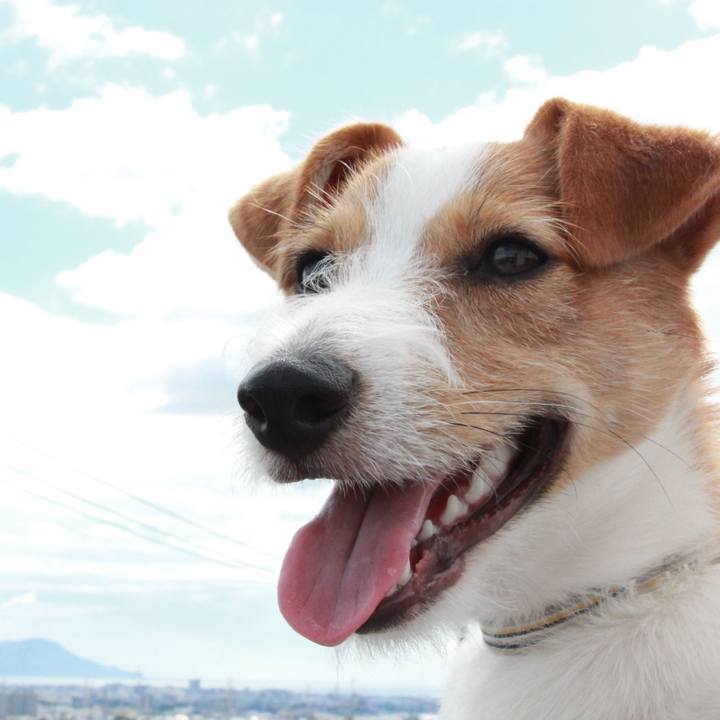 Dd690a7d c59b 4e72 a9f1 89e1ae35da64