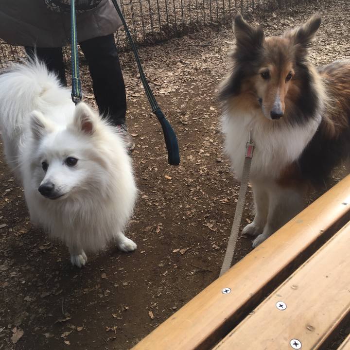 Dd69f1cd d661 4368 90ab 4c17c7872132