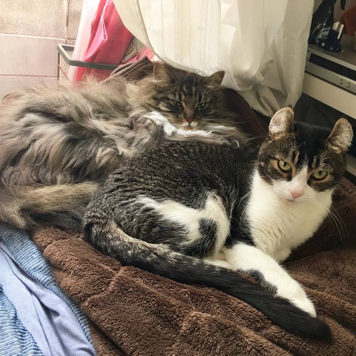 Dd6a4e23 95a6 47d6 ac16 da88e4ac1afa