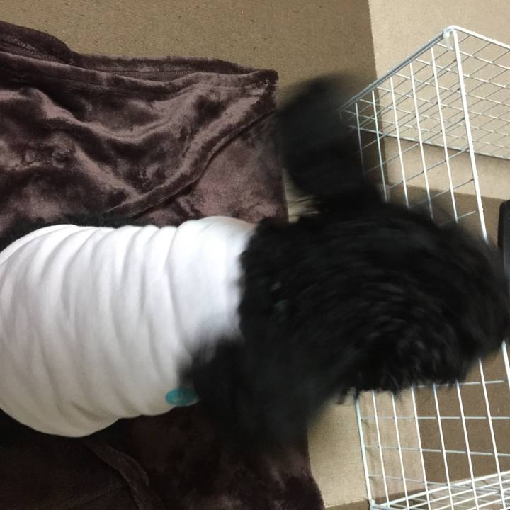 Dd6a7c44 d9c8 488b b69f af3443dbc330