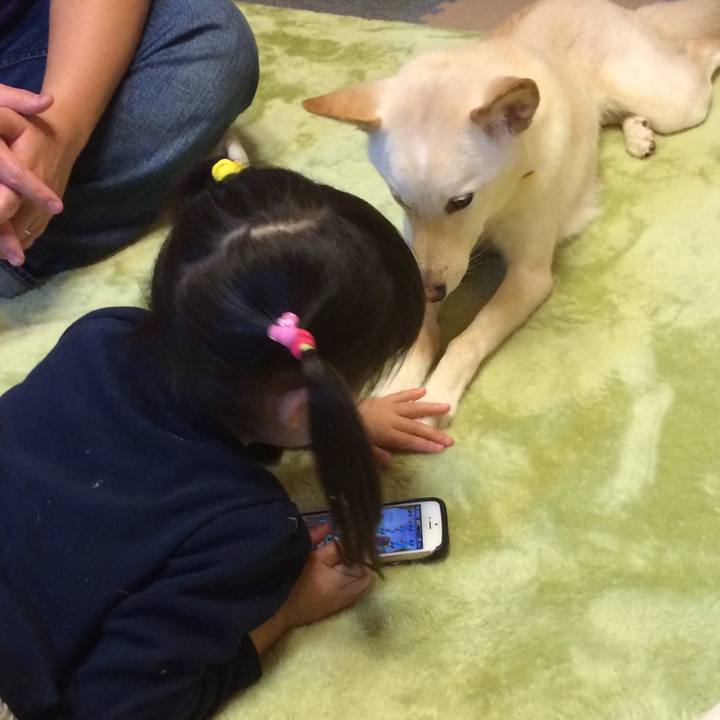 Dd6b232a 72ed 4e4f 8ba9 705c02aaf7b8