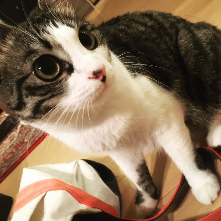 Dd6b25f9 6444 4749 9028 72cfe48752c6